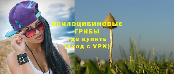 героин Лагань