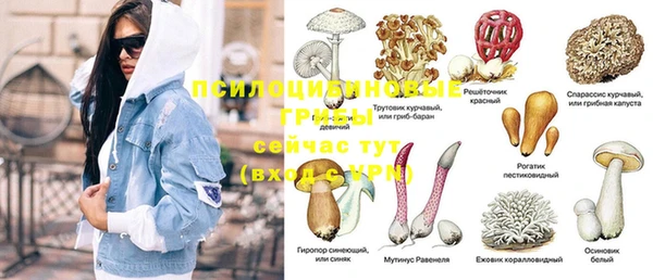 крисы Лабытнанги