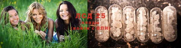 крисы Лабытнанги