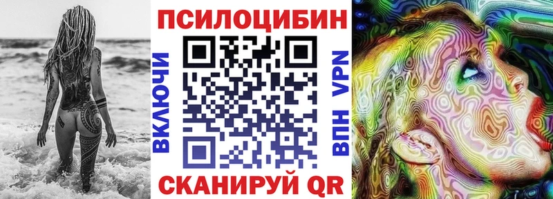 Купить Лангепас Галлюциногенные грибы Psilocybe