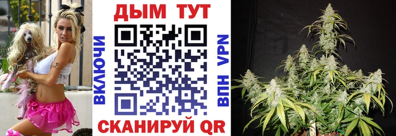 Каннабис OG Kush  Купить где  Лангепас 